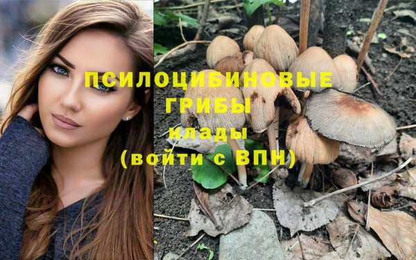 ГАЛЛЮЦИНОГЕННЫЕ ГРИБЫ Балабаново