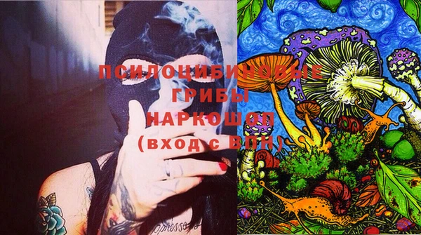 дживик Баксан