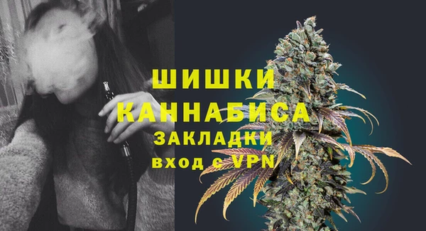 ГАЛЛЮЦИНОГЕННЫЕ ГРИБЫ Балабаново