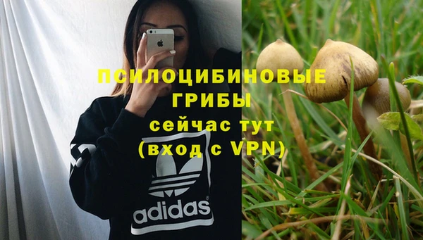 ГАЛЛЮЦИНОГЕННЫЕ ГРИБЫ Балабаново