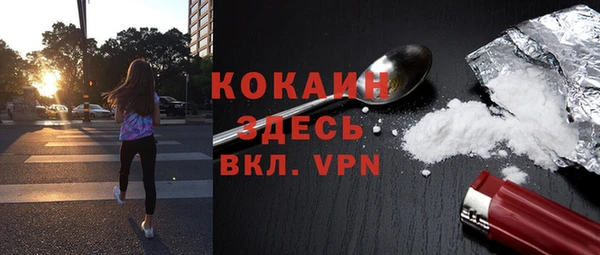 ГАЛЛЮЦИНОГЕННЫЕ ГРИБЫ Балабаново