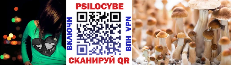 дарнет шоп  Буинск  Псилоцибиновые грибы прущие грибы 